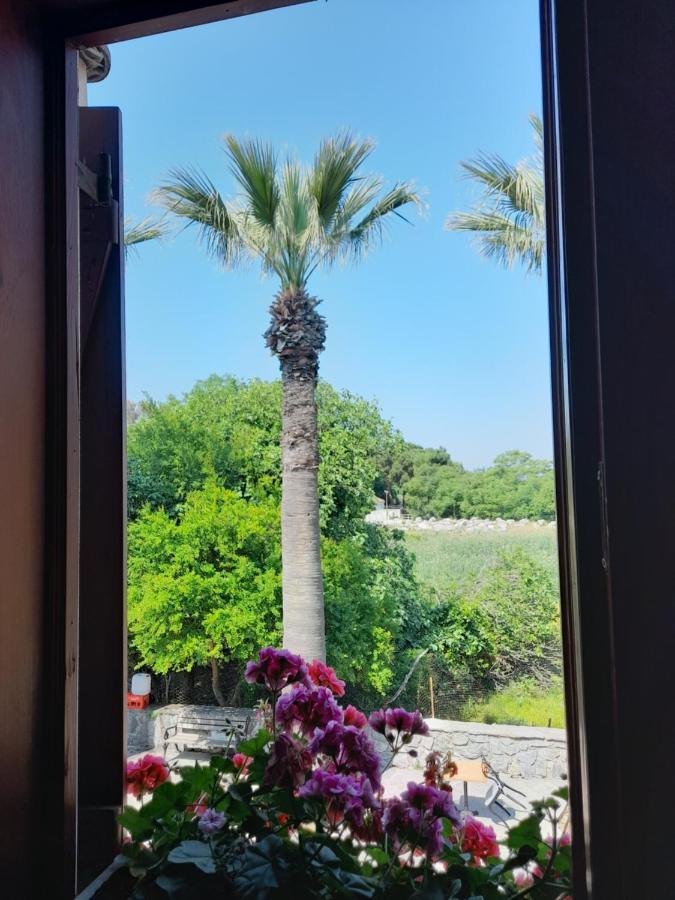 Casa Callinos Bed & Breakfast Selçuk Bagian luar foto