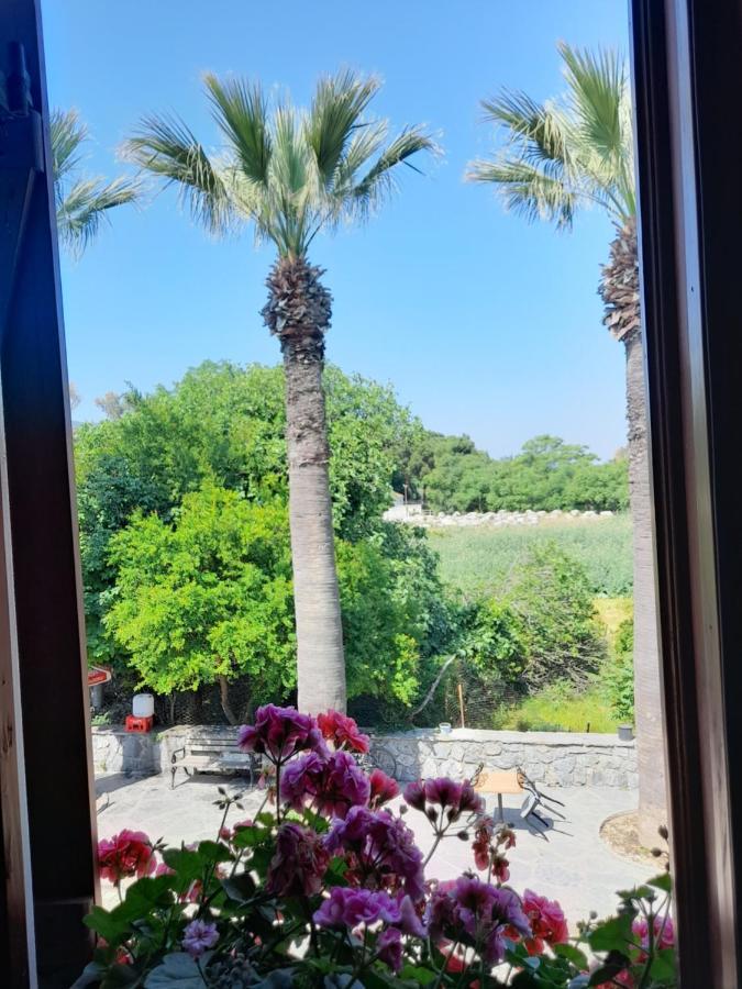 Casa Callinos Bed & Breakfast Selçuk Bagian luar foto