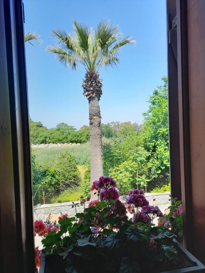 Casa Callinos Bed & Breakfast Selçuk Bagian luar foto